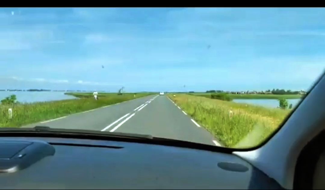 سائق عربي في هولندا