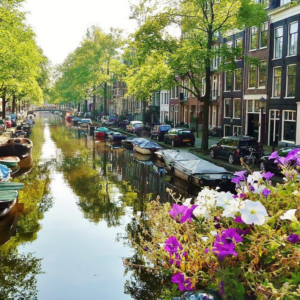 مناطق سياحية في هولندا image